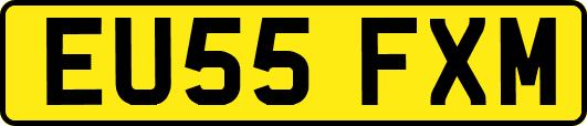 EU55FXM