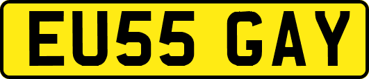 EU55GAY