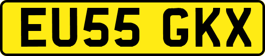 EU55GKX