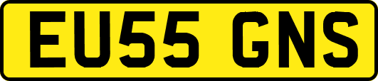 EU55GNS