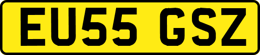 EU55GSZ