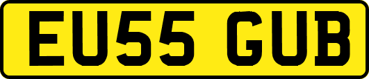 EU55GUB