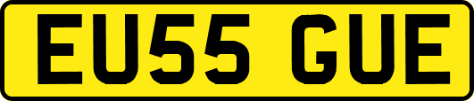 EU55GUE