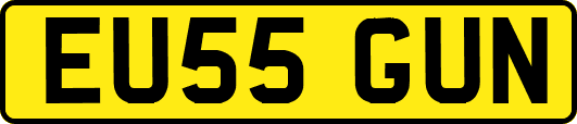 EU55GUN