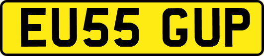 EU55GUP
