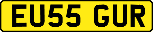 EU55GUR