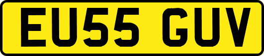 EU55GUV