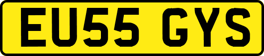 EU55GYS