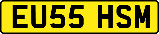 EU55HSM