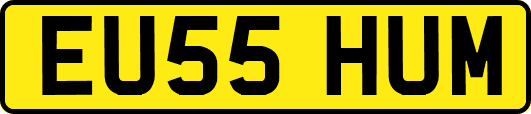EU55HUM