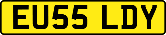 EU55LDY