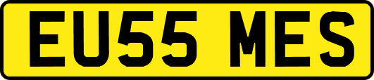 EU55MES