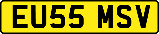EU55MSV