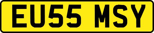 EU55MSY