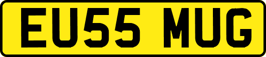 EU55MUG