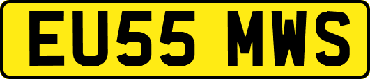EU55MWS