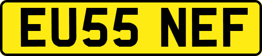EU55NEF