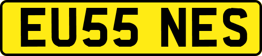EU55NES