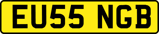 EU55NGB