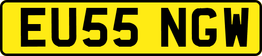 EU55NGW