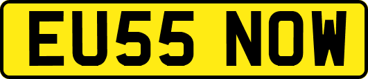 EU55NOW