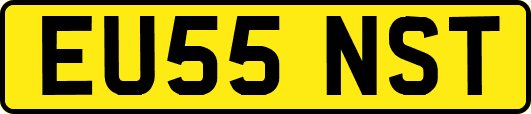 EU55NST