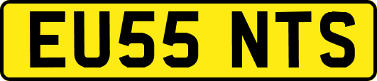 EU55NTS