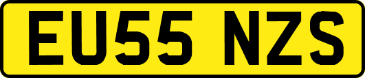 EU55NZS