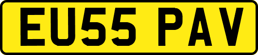 EU55PAV