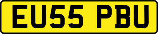 EU55PBU