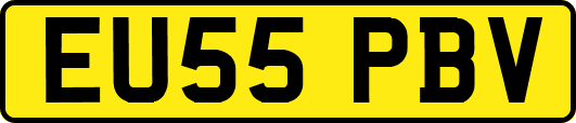 EU55PBV