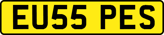 EU55PES