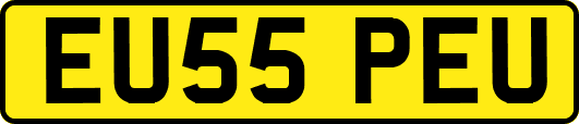 EU55PEU