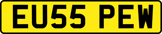 EU55PEW