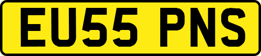 EU55PNS
