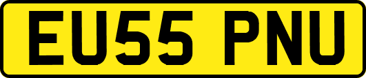 EU55PNU