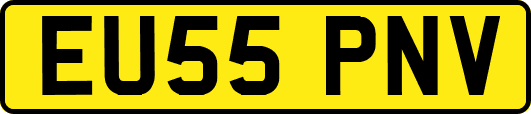 EU55PNV