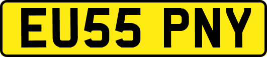EU55PNY