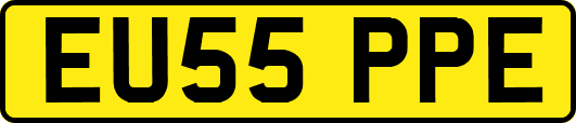 EU55PPE