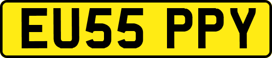 EU55PPY