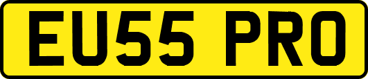 EU55PRO