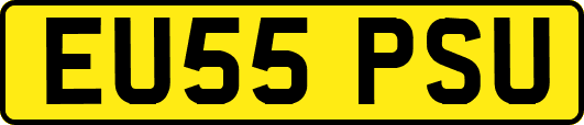 EU55PSU