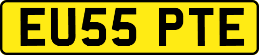 EU55PTE