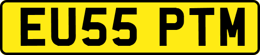 EU55PTM