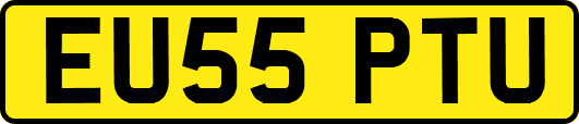 EU55PTU