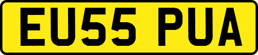 EU55PUA
