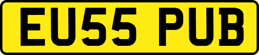 EU55PUB