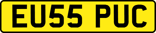 EU55PUC