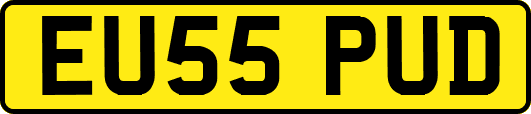 EU55PUD