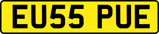 EU55PUE